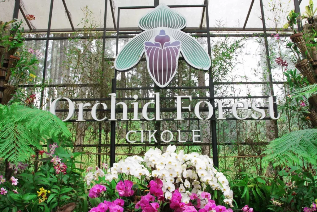 orchid forest lembang