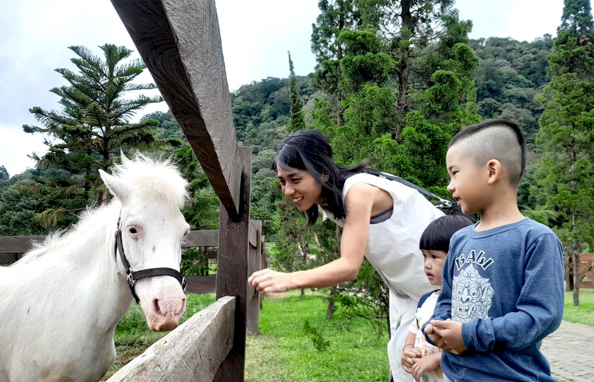 Aktivitas Menarik di Bali Farm House Bedugul Aktivitas Menarik di Bali Farm House Bedugul